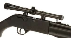  Crosman Recruit Multi Pump .177 caliber Pellet & BB Rifle 