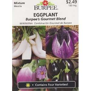  Burpees Gourmet Blend Eggplant Seeds   150 mg Patio 