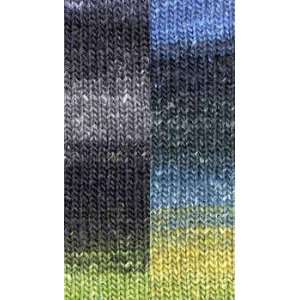  Noro Silk Garden Sock 0252 Yarn Arts, Crafts & Sewing