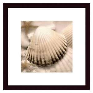  Barewalls Interactive Art Iridescent Seashell II by Donna 