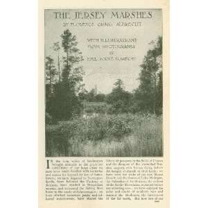  1906 New Jersey Marshes illustrated 
