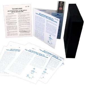 American Educational T 308 15B Microslide Minerals and Life Lesson 