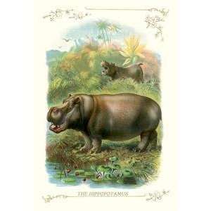  Vintage Art Hippopotamus   11200 x