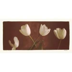    Illuminating Tulips III   Judy Mandolf 11x5