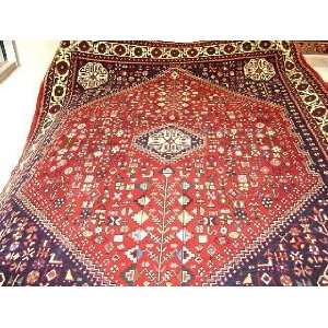   4x6 Hand Knotted Abadeh Persian Rug   411x64