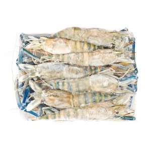 Pacific Blue Prawn   Head on   U/12 Grocery & Gourmet Food