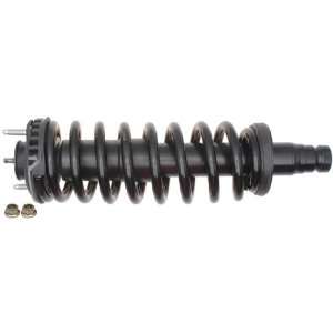 Raybestos 717 1341 Professional Grade Suspension Strut and Coil Spring 