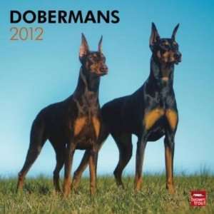  Dobermans 2012 Wall Calendar