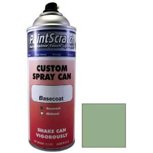 12.5 Oz. Spray Can of Light Tundra Effect Touch Up Paint for 2007 Ford 