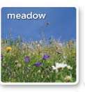 meadow