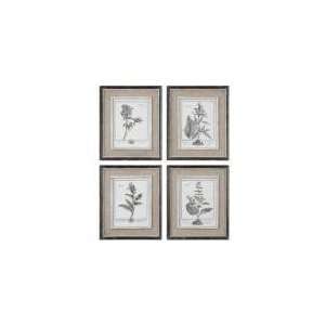 Uttermost 32510 Casual Grey Study Frames Hand Pinted Wall Art Set of 4 