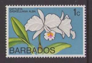 Barbados 1974 1c. Cattleya gaskelliana alba flower  