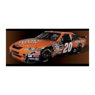 NASCAR WALL BORDER TONY STEWART 20 REUSABLE 15 feet 781669520572 
