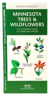 Minnesota Trees & Wildflowers An Introduction to Familiar Species 