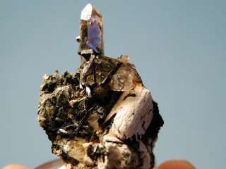 Shiny Aegirine Crystals, Smokey Quartz on Feldspar, Zo  