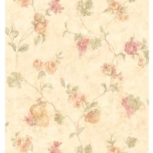   Fruit and Flower Trail Sidewall Wallpaper 253 42711