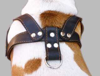 Black Real Leather Dog Harness 1.5 wide 28 34 chest Bulldog Pitbull 