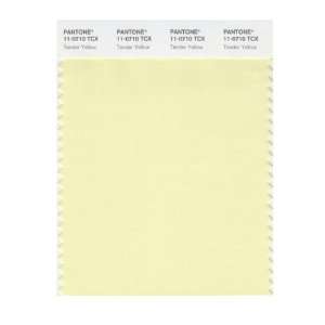   SMART 11 0710X Color Swatch Card, Tender Yellow