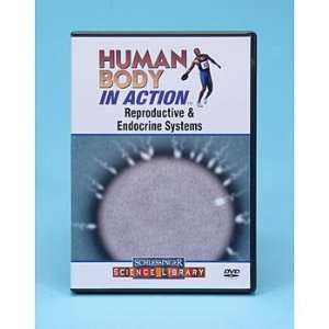 Human Body in Action Reproductive and Endocrine Systems DVD  