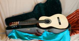 Alto 11 String Guitar