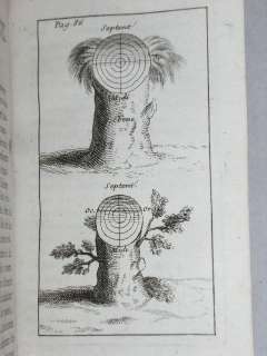 CURIOSITES NATURE JARDINAGE VALLEMONT PLANCHES 1705  