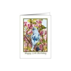  77th Birthday, Blue Parakeet and Flowers Card Toys 