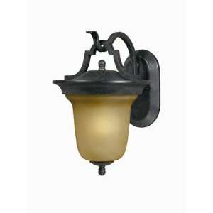  Triarch 78200 12 Fluorescent Outdoor Sconce, English 