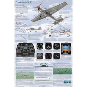     Basics of Flight Aviation Poster at Tailwinds