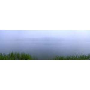 Foggy Weather, Herrington Manor State Park, Maryland, USA Photographic 