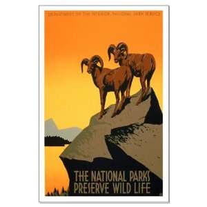  1930s Vintage Preserve Wildlife WPA Poster Large P Vintage 