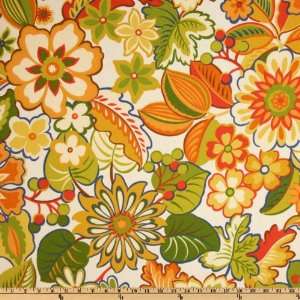   /Outdoor Brummel Citrus Fabric By The Yard Arts, Crafts & Sewing