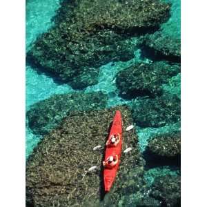  Kayakers Paddle on the Clear Waters of the Gulf of 
