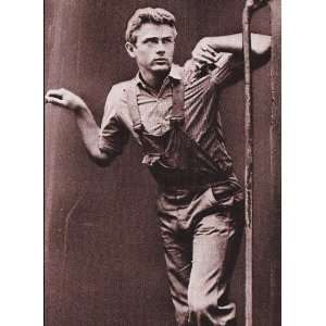  James Dean Postcard   RARE   4 x 6 