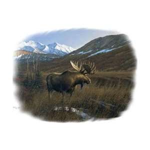  T shirts Animals Wildlife Deer Alaskan Classic Moose Xl 