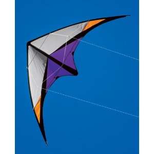  Addiction Dual line Stunt Kite Toys & Games