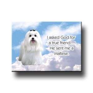 MALTESE True Friend From God FRIDGE MAGNET New DOG  