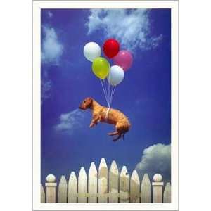 com Happy Birthday Greeting Card Birthday Belated Balloon Dog Belated 