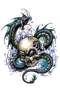 SKULL AND DRAGON LOTS OF COLOR temporary Tattoo  