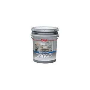   LATEX FLAT WALL HI HIDING WHITE PROFESSIONAL PAINT SIZE5 GALLONS