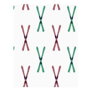  Ski Rack Holiday Cards   25 Cards and Envelopes Health 