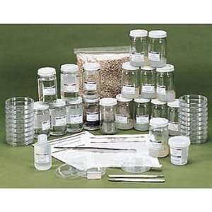 African Violet Tissue Culture Classroom Kit Refill  