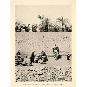  1914 Print Onion Bags Load Agriculture Bank Nile River 