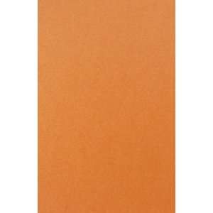  81lb Text Paper   11 x 17   Stardream Flame (50 Pack 