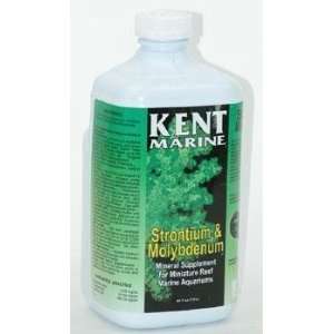  Kent Strontium & Molybndm 64 oz