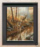 Backwater Passage Whitetail Deer Shadow Box Wild Wings  