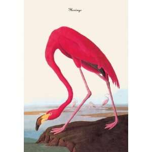 Exclusive By Buyenlarge Flamingo 28x42 Giclee on Canvas  