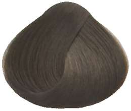 Goldwell Topchic Professional Hair Color (2.1 oz. tube)  6SB