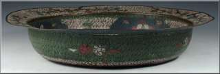   bowl is decorated with a colorful scene of a fish in the bottom of the