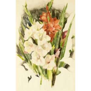     Charles Demuth   24 x 36 inches   Gladiolus