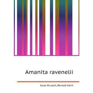  Amanita ravenelii Ronald Cohn Jesse Russell Books